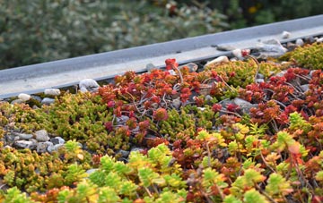 the cost of Sampford Moor green roof installation